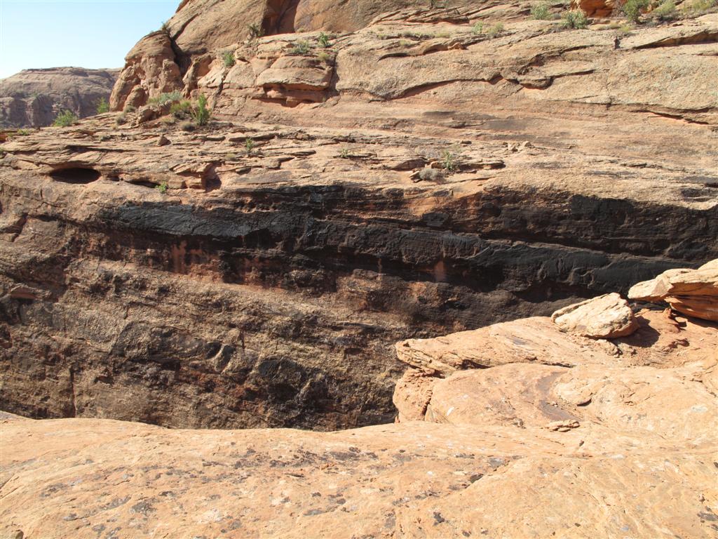 IMG_3062 (Large).JPG IMG_3062 (Large).JPG